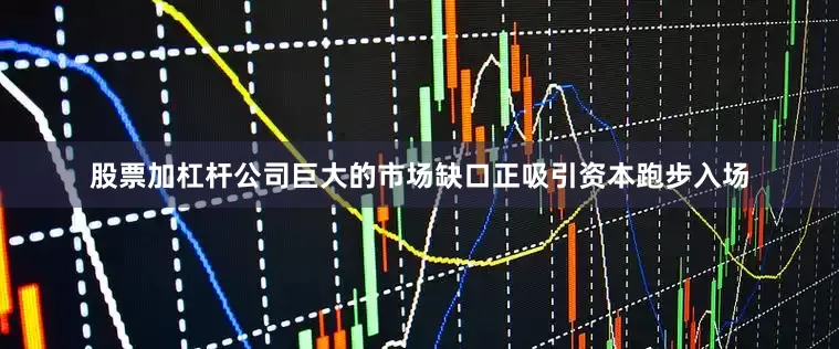 股票加杠杆公司巨大的市场缺口正吸引资本跑步入场