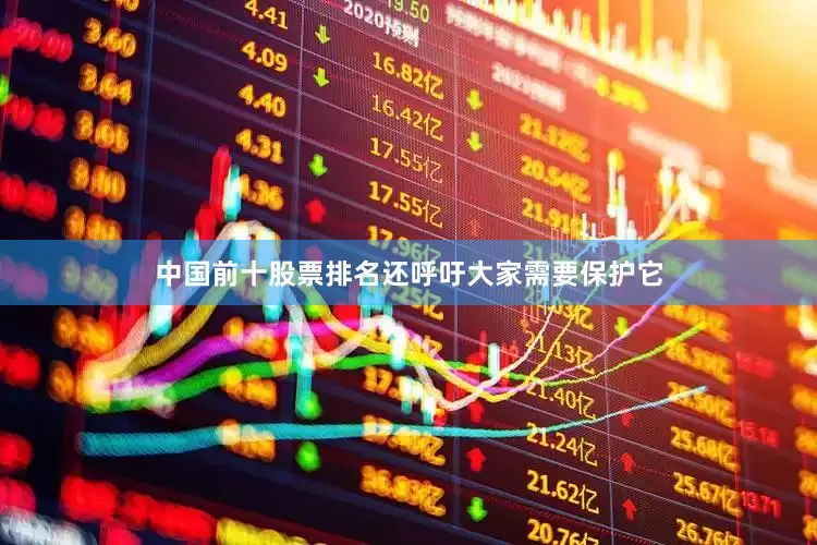 中国前十股票排名还呼吁大家需要保护它