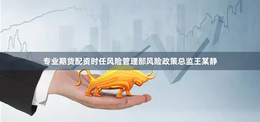 专业期货配资时任风险管理部风险政策总监王某静